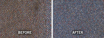 Carpet cleaning before and after